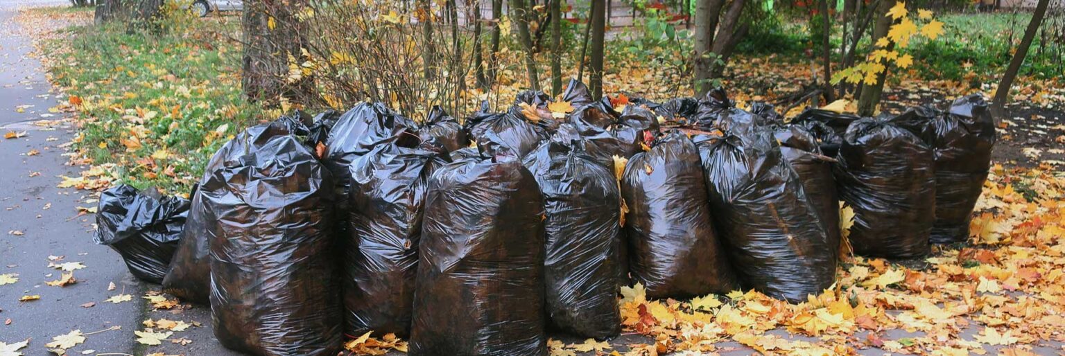 Yard Waste Cleanup Santa Rosa Junk Hauling & Removal